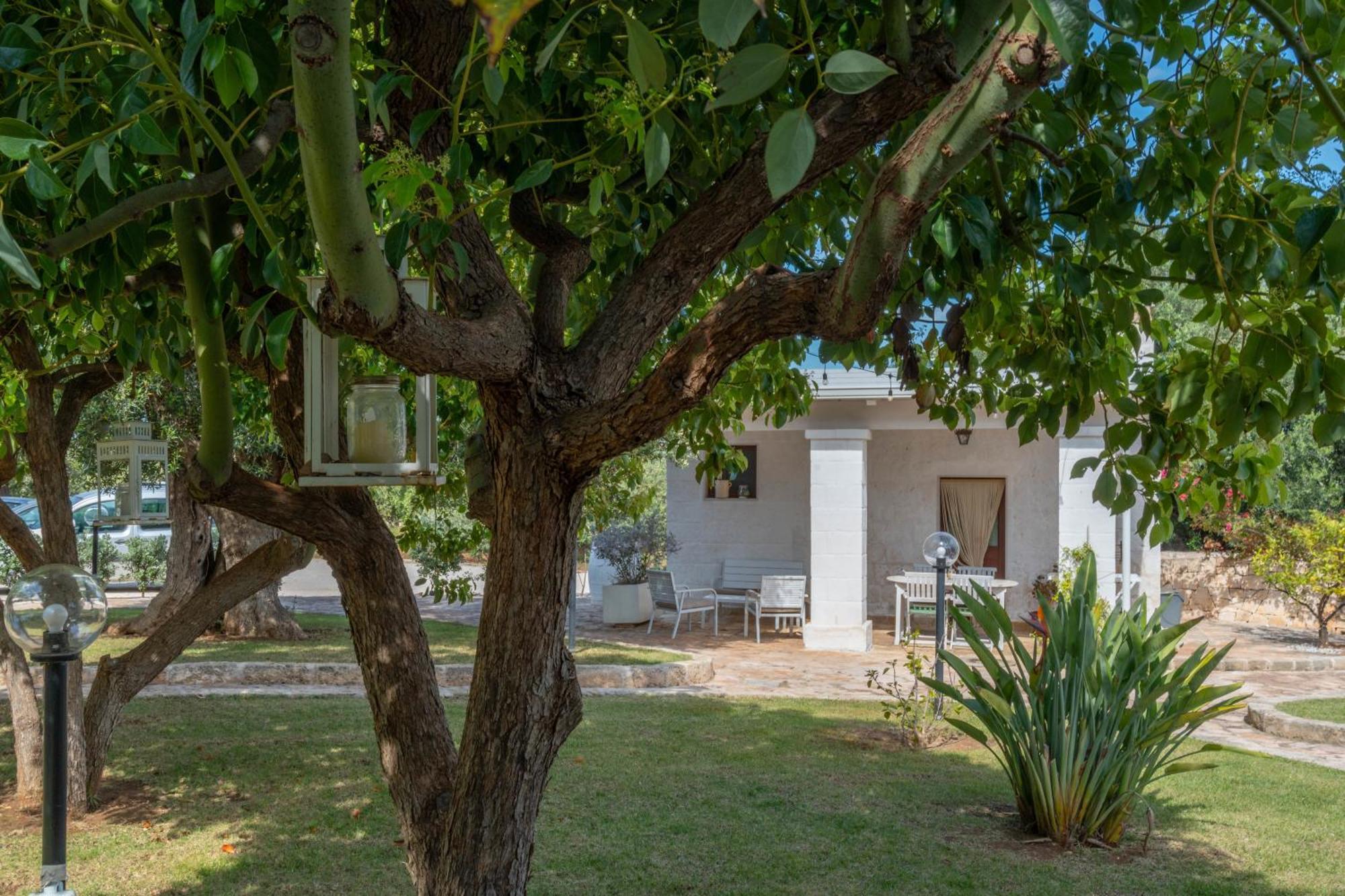 Dimora Tauro B&B Fasano Luaran gambar