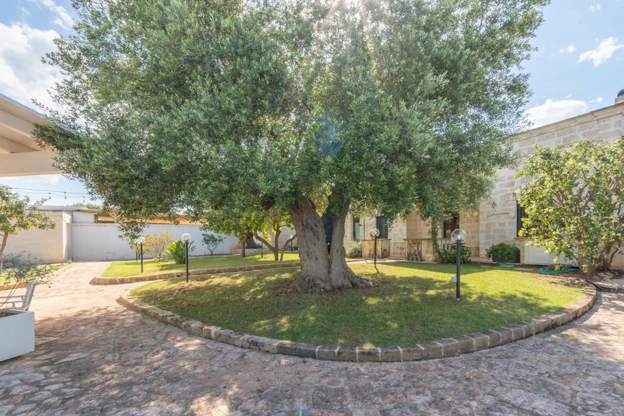 Dimora Tauro B&B Fasano Luaran gambar